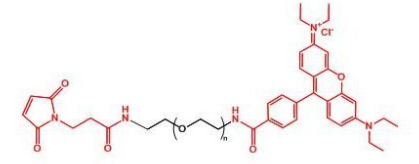Rhodamine-PEG-MAL；罗丹明聚乙二醇马来酰亚胺；MAL-PEG-Rhodamine