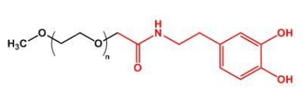 mPEG-Dopamine；mPEG-DOPA；甲氧基聚乙二醇多巴胺