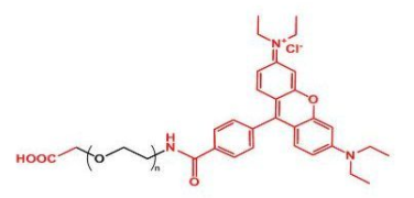 Rhodamine-PEG-COOH；罗丹明聚乙二醇羧基 ；RB-PEG-COOH