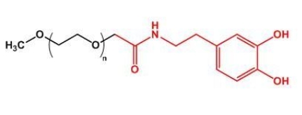 mPEG-Dopamine；mPEG-DOPA；甲氧基聚乙二醇多巴胺