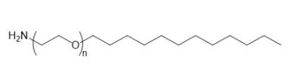 C12-PEG-NH2  氨基聚乙二醇月桂酸