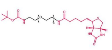 Boc-NH-PEG-Biotin；叔丁氧羰基聚乙二醇生物素；叔丁氧羰基PEG生物素