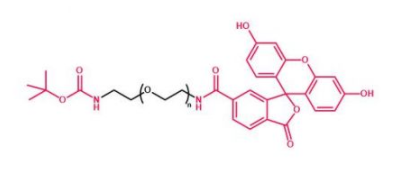Boc-NH-PEG-FITC；叔丁氧羰基聚乙二醇荧光素 