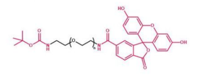 Boc-NH-PEG-FITC；叔丁氧羰基聚乙二醇荧光素