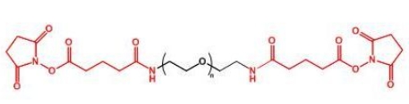 GAS-PEG-GAS;二戊二酰胺琥珀酰亚胺聚乙二醇