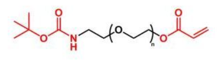 BOC-NH-PEG-AC；叔丁氧羰基聚乙二醇丙烯酸酯；AC-PEG-NH-BOC