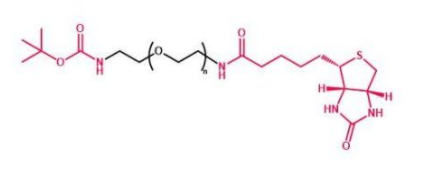 叔丁氧羰基聚乙二醇生物素 Boc-NH-PEG-Biotin