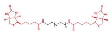  Biotin-PEG-Biotin BN-PEG-BN;二生物素聚乙二醇