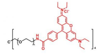 4ARM-PEG-Rhodamine；四臂聚乙二醇罗丹明；4ARM-PEG-RB