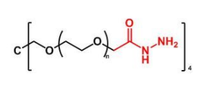 四臂聚乙二醇酰肼  4Arm-PEG-Hydrazide