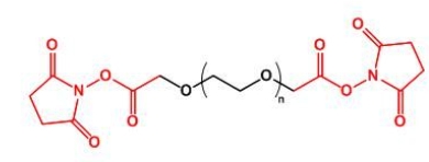NHS-PEG-NHS;SCM-PEG-SCM;二琥珀酰亚胺乙酸酯聚乙二醇