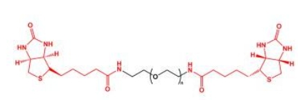 Biotin-PEG-Biotin; BN-PEG-BN;二生物素聚乙二醇