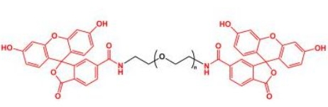 Fluoresein-PEG-Fluoresein; FITC-PEG-FITC;二荧光素聚乙二醇 