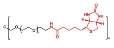 4ARM-PEG-Biotin；四臂聚乙二醇生物素；4ARM-PEG-BN