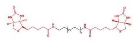 Biotin-PEG-Biotin; BN-PEG-BN;二生物素聚乙二醇