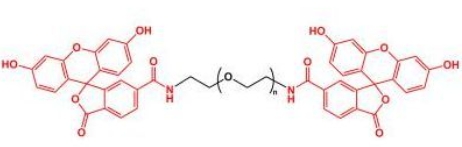 Fluoresein-PEG-Fluoresein; FITC-PEG-FITC;二荧光素聚乙二醇