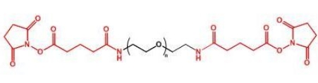 GAS-PEG-GAS;二戊二酰胺琥珀酰亚胺聚乙二醇 