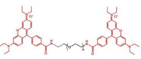 Rhodamine-PEG-Rhodamine;二罗丹明聚乙二醇 