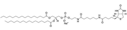 二棕榈酰磷脂酰乙醇胺-N-生物素钠盐（DPPE-cap-Biotinyl）,384835-52-3