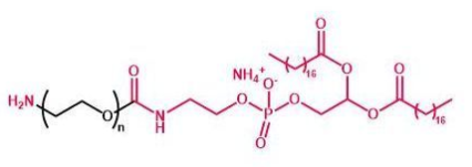 DSPE-PEG-NH2；磷脂聚乙二醇氨基；DSPE-PEG-Amine