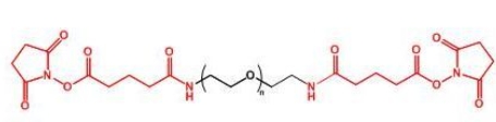  GAS-PEG-GAS;二戊二酰胺琥珀酰亚胺聚乙二醇