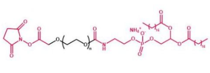 DSPE-PEG-NHS；磷脂聚乙二醇活性酯 ；NHS-PEG-DSPE