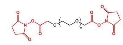NHS-PEG-NHS，SCM-PEG-SCM;二琥珀酰亚胺乙酸酯聚乙二醇