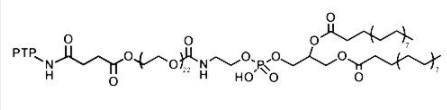 PTP-PEG-DSPE，胰腺癌靶向肽PTP-聚乙二醇-磷脂