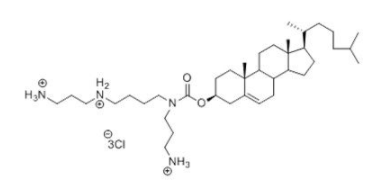 N4-精氨胆固醇羰酰氨(GL67)，179075-30-0；N4-Cholesteryl-Spermine HCl Salt