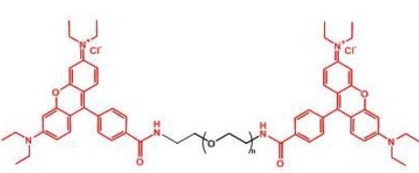  Rhodamine-PEG-Rhodamine;二罗丹明聚乙二醇