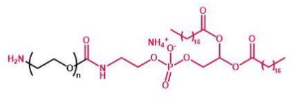 DSPE-PEG-NH2；磷脂聚乙二醇氨基；DSPE-PEG-Amine