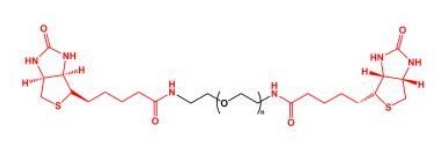 Biotin-PEG-Biotin;BN-PEG-BN;二生物素聚乙二醇