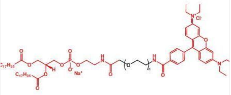 Rhodamine-PEG-DSPE；罗丹明聚乙二醇磷脂 ；DSPE-PEG-Rhodamine