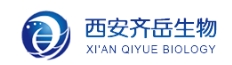 PLGA-PEG-PLGA;二聚乳酸-羟基乙酸共聚物聚乙二醇