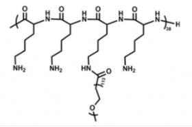 PLL(20)-g[3.3]-PEG(5)；甲氧基聚乙二醇聚赖氨酸