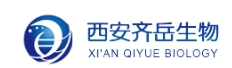 GAA-PEG-GAA;二戊二酰胺酸基聚乙二醇