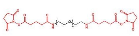  GAS-PEG-GAS;二戊二酰胺琥珀酰亚胺聚乙二醇