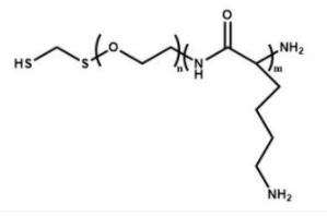 HS-PEG-PLL；巯基聚乙二醇聚赖氨酸
