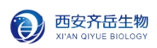PLGA-PEG-PLGA;二聚乳酸-羟基乙酸共聚物聚乙二醇