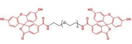 Fluoresein-PEG-Fluoresein; FITC-PEG-FITC;二荧光素聚乙二醇