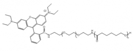 PCL-PEG-RB；聚己内酯聚乙二醇罗丹明 