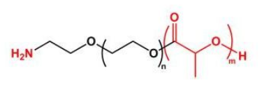 聚乳酸聚乙二醇氨基 PLA-PEG-NH2