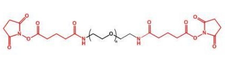 GAS-PEG-GAS;二戊二酰胺琥珀酰亚胺聚乙二醇
