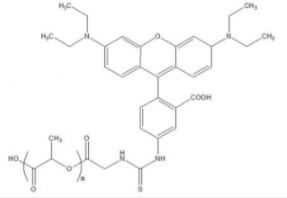 PLA-RB，罗丹明B-聚乳酸，罗丹明B化PLA