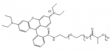 PLA-PEG-RB；聚乳酸-聚乙二醇-罗丹明 