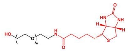 HO-PEG-Biotin； Biotin-PEG-OH；羟基聚乙二醇生物素