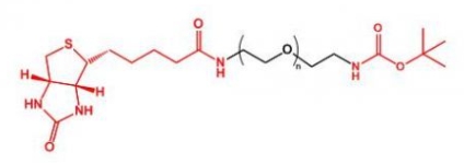 Biotin-PEG-NH-Boc	生物素聚乙二醇叔丁氧羰基