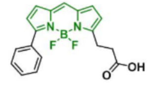 BDP R6G carboxylic acid，174881-57-3