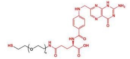 FA-PEG-SH SH-PEG-FA SH-PEG-Folate 叶酸聚乙二醇巯基