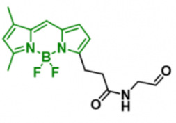 BODIPY aminoacetaldehyde，247069-94-9，硼二吡咯-氨基乙醛